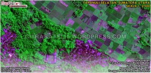 Data Olahan Citra Satelit QuickBird 4 Band Warna Hijau Semu Wilayah Tapanuli Selatan - Sumatera Utara